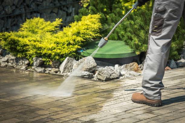 Best Pool Deck Cleaning  in Pierce, CO