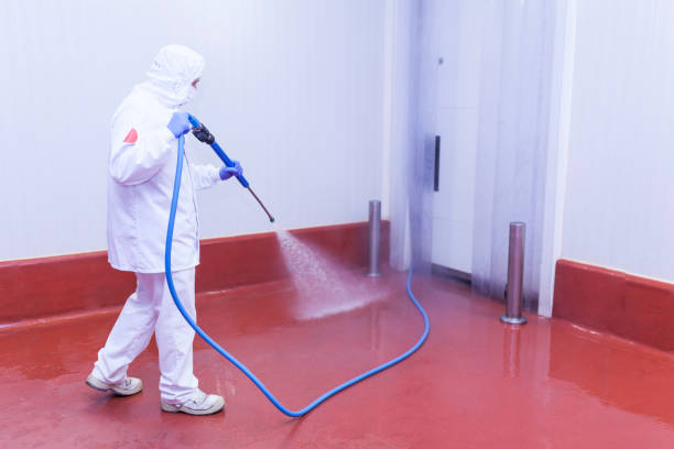  Pierce, CO Pressure Washing Pros