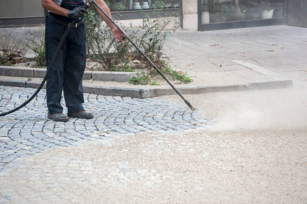 Animal Enclosure Cleaning in Pierce, CO
