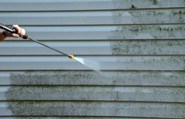 Trusted Pierce, CO Pressure Washing Experts
