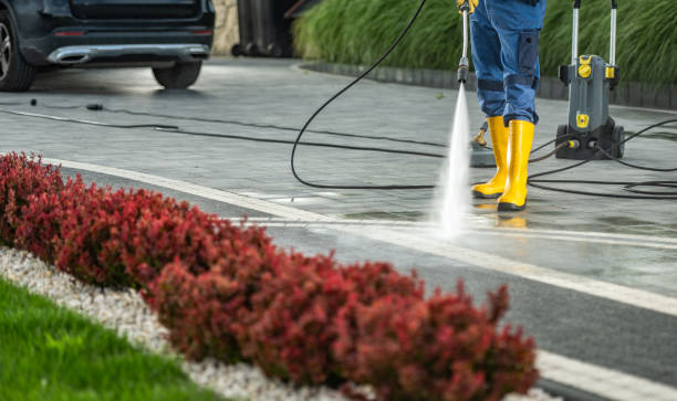 Best Patio and Deck Pressure Washing  in Pierce, CO